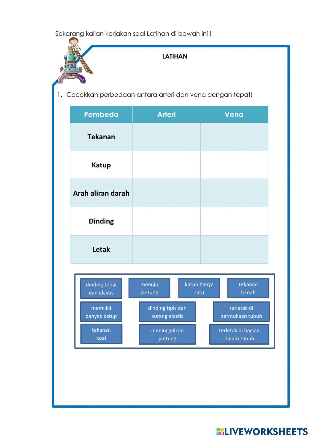 Lkpd sirkulasi part 2
