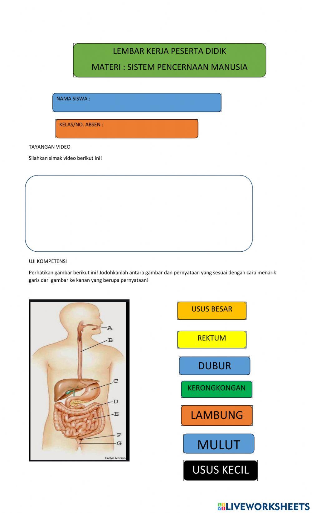 LKPD Digigital Mapel IPA