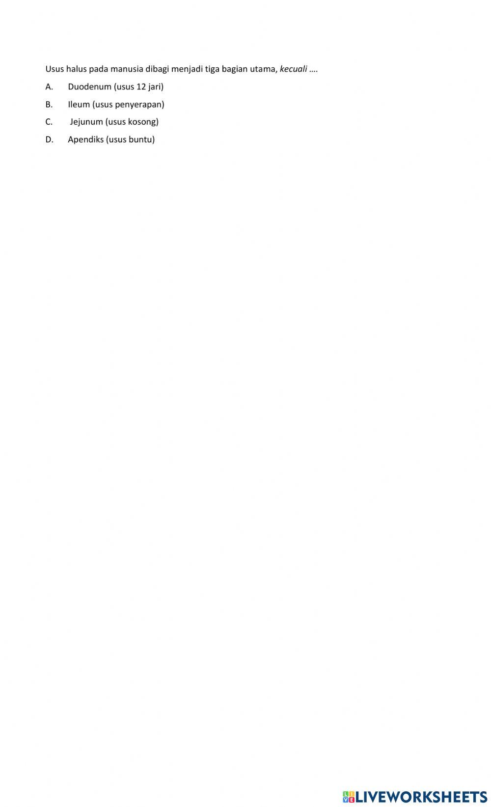 LKPD Digigital Mapel IPA