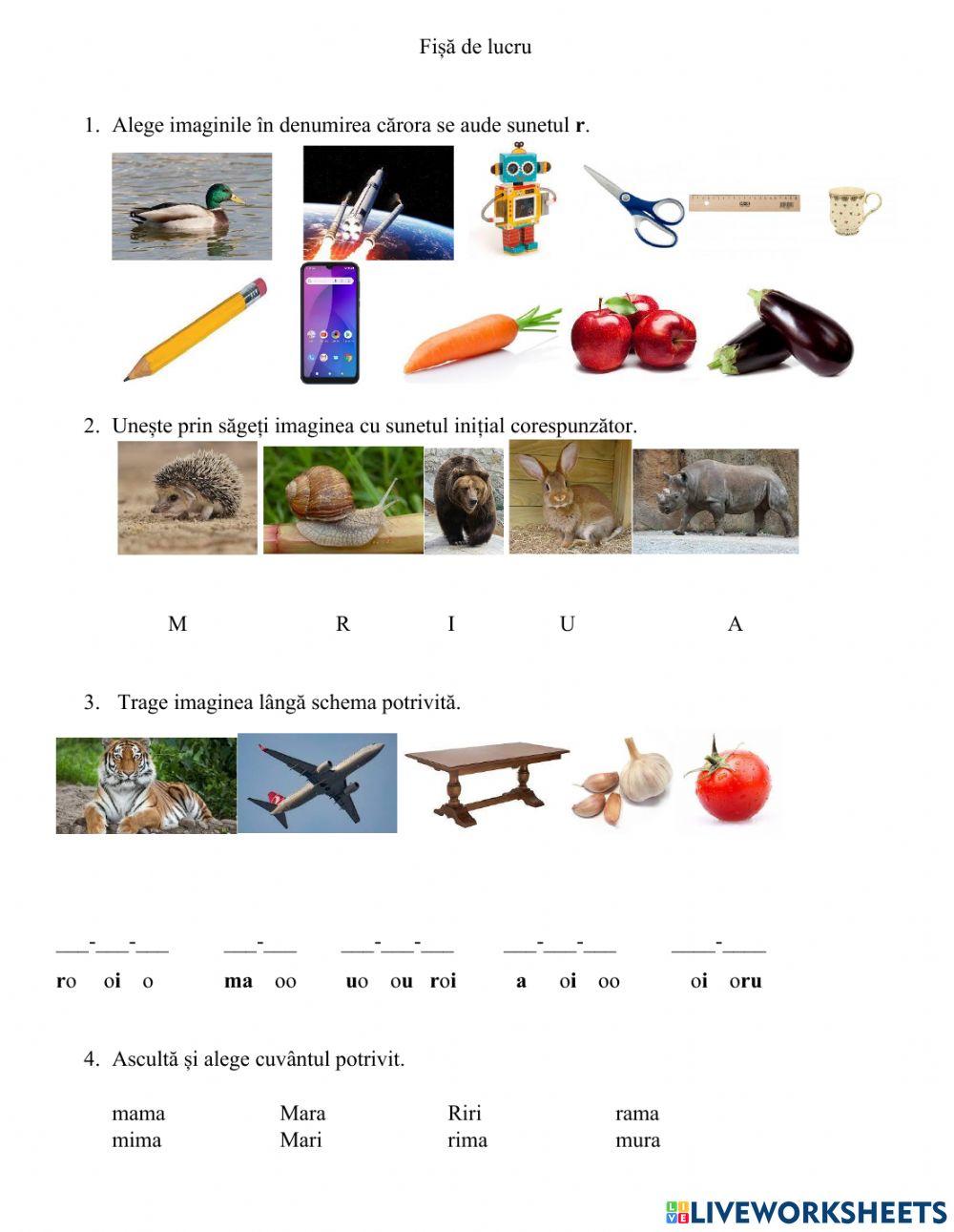 A M I U R - fisa de lucru