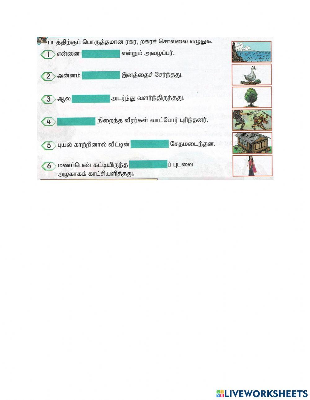 ரகர, றகர சொல்