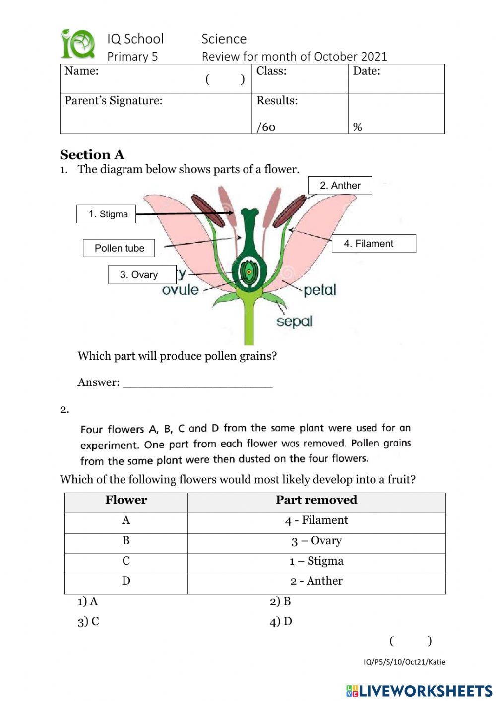 5E1 October Review 2021