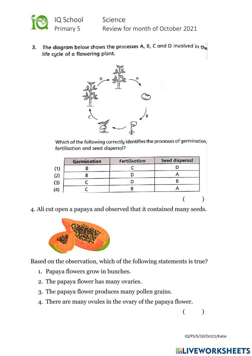 5E1 October Review 2021