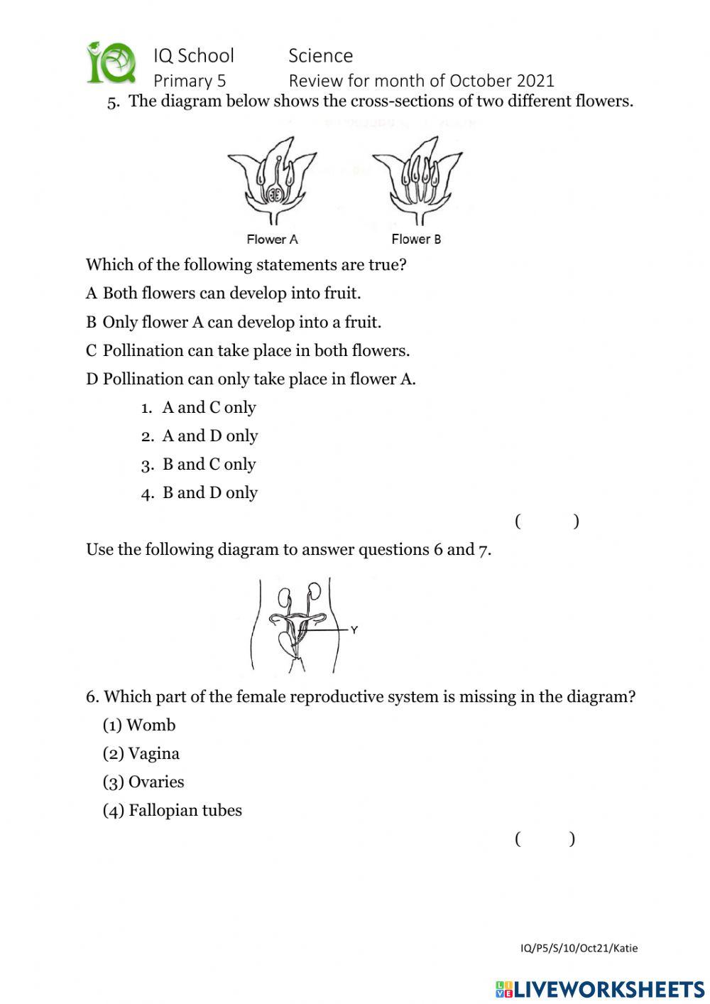 5E1 October Review 2021