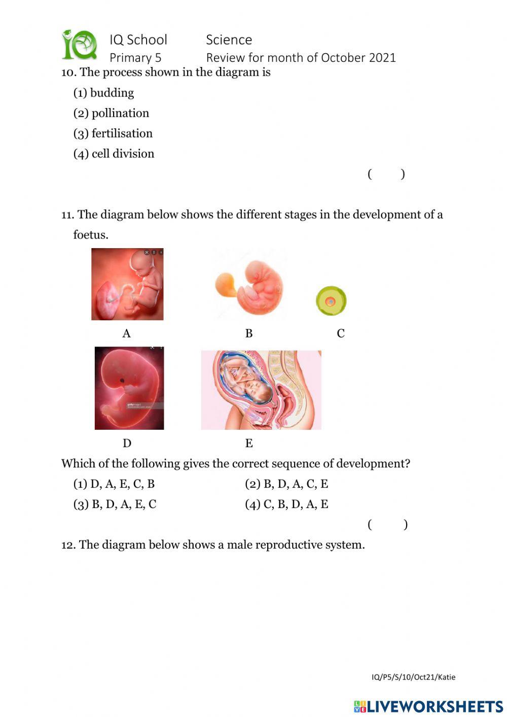 5E1 October Review 2021