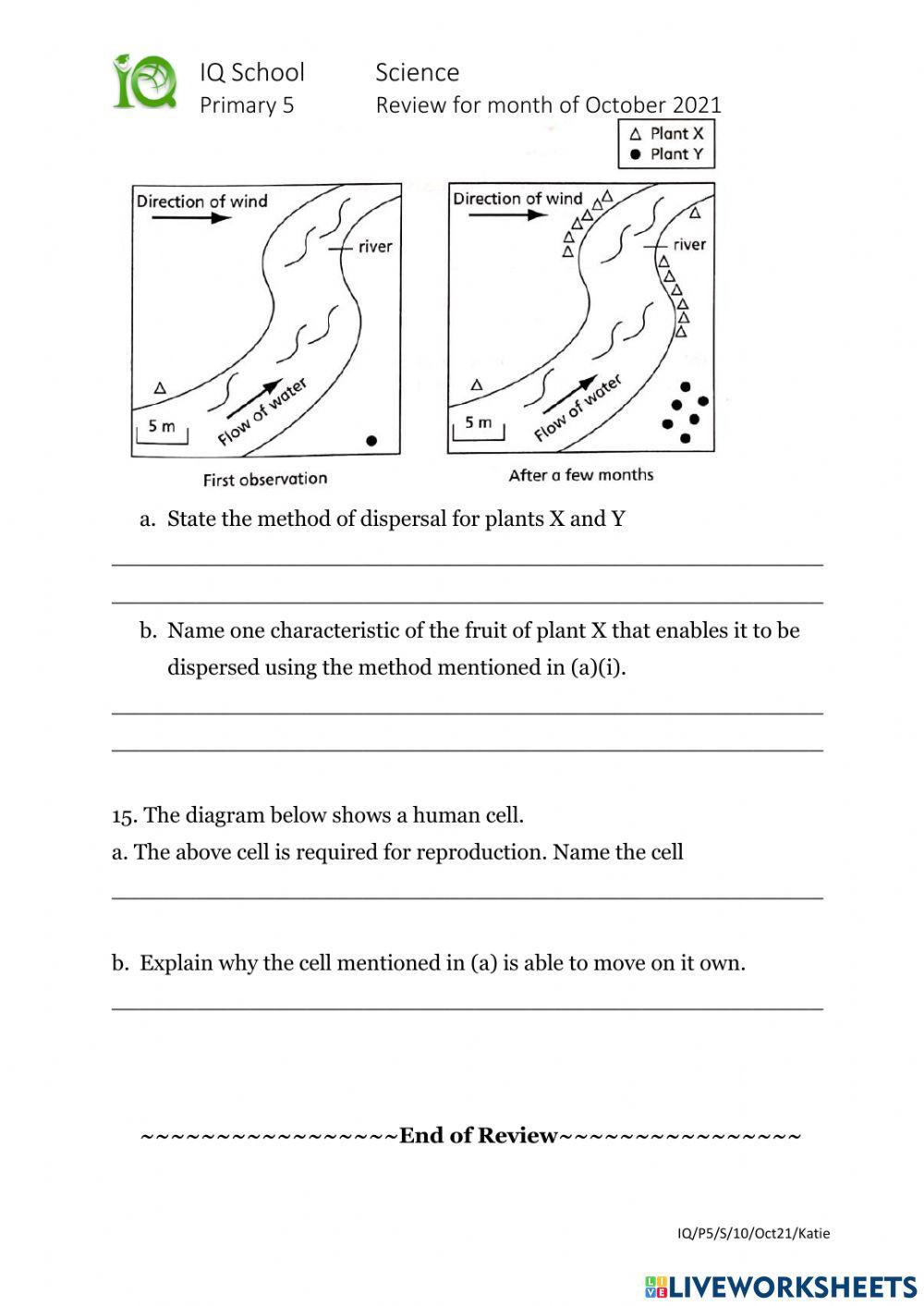 5E1 October Review 2021