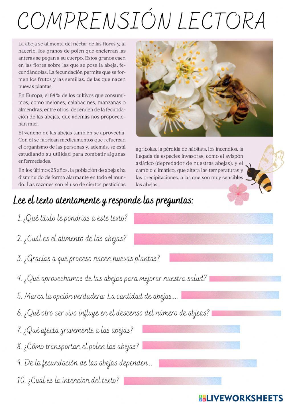 Comprensión lectora 1 ecoherencia