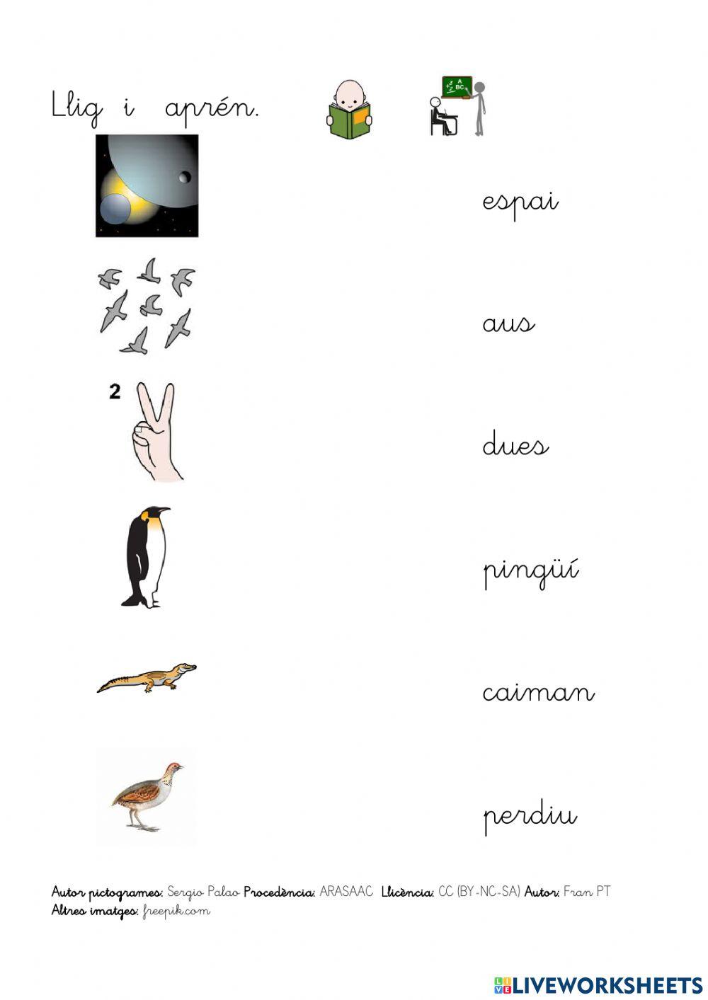 Paraules amb diftong.