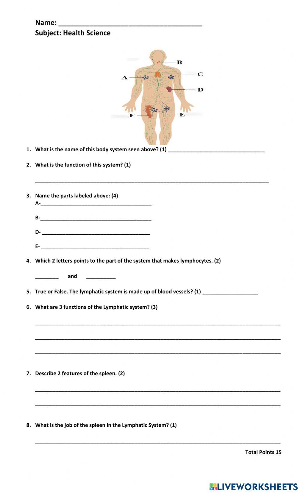 The Lymphatic System Worksheet 4165710 JohnnelRolle The Lymphatic System Worksheet 4165710 JohnnelRolle