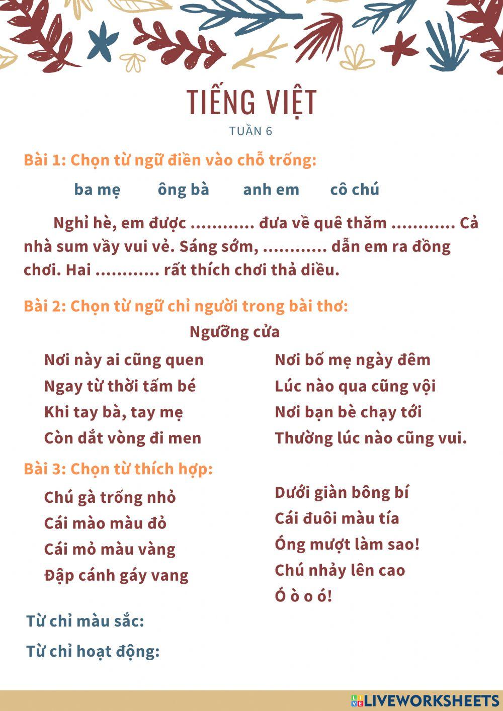 Tiếng Việt tuần 6