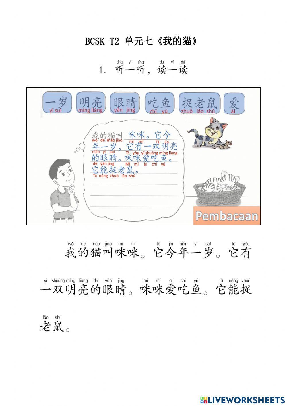 Bcsk tahun 3 单元七《我的猫》