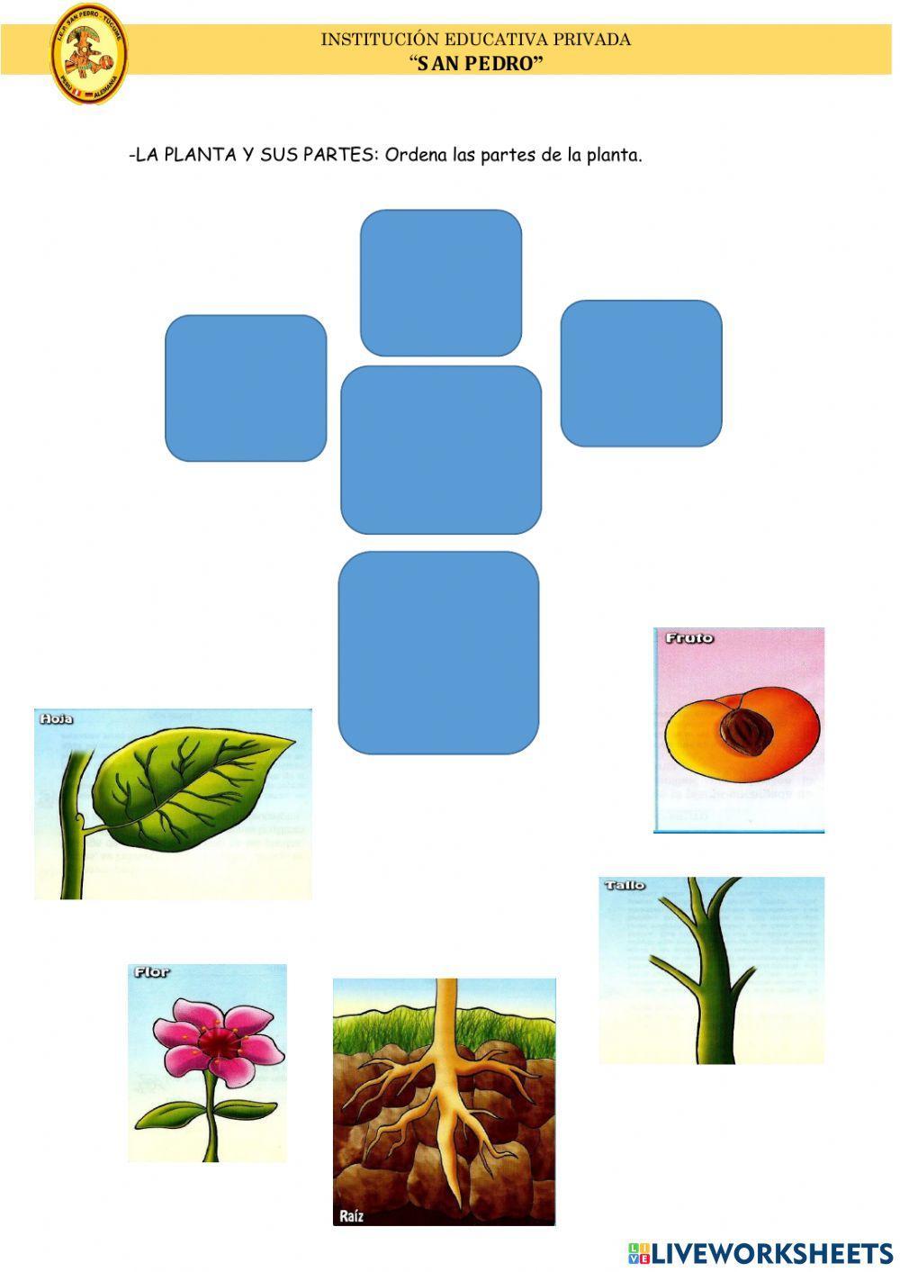 Examen de ciencia y tecnología