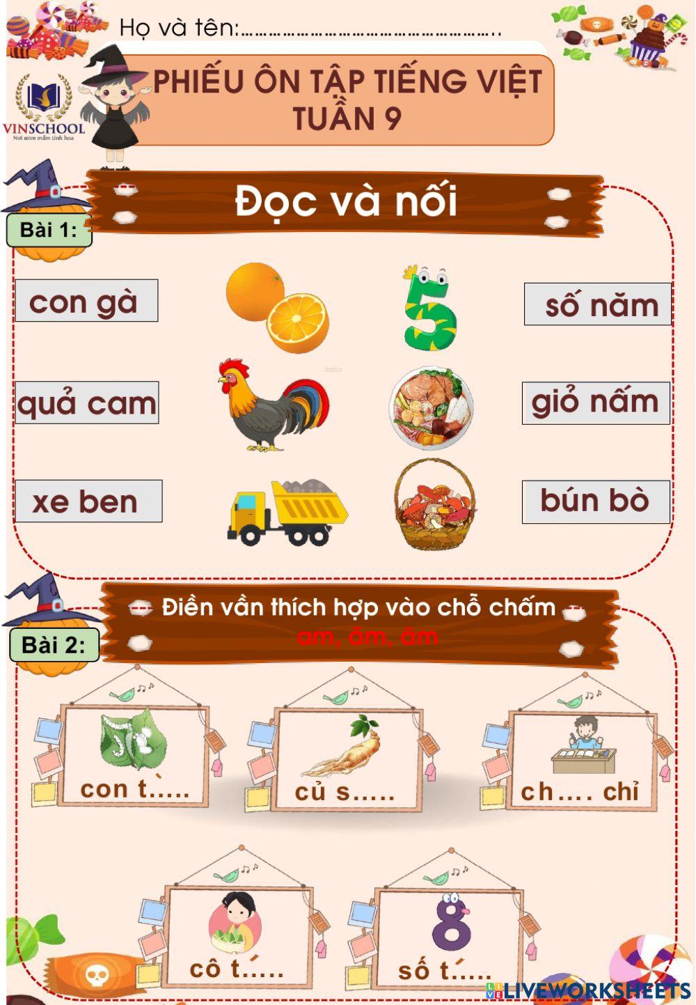 Phiếu ôn tập Tiếng Việt Tuần 9