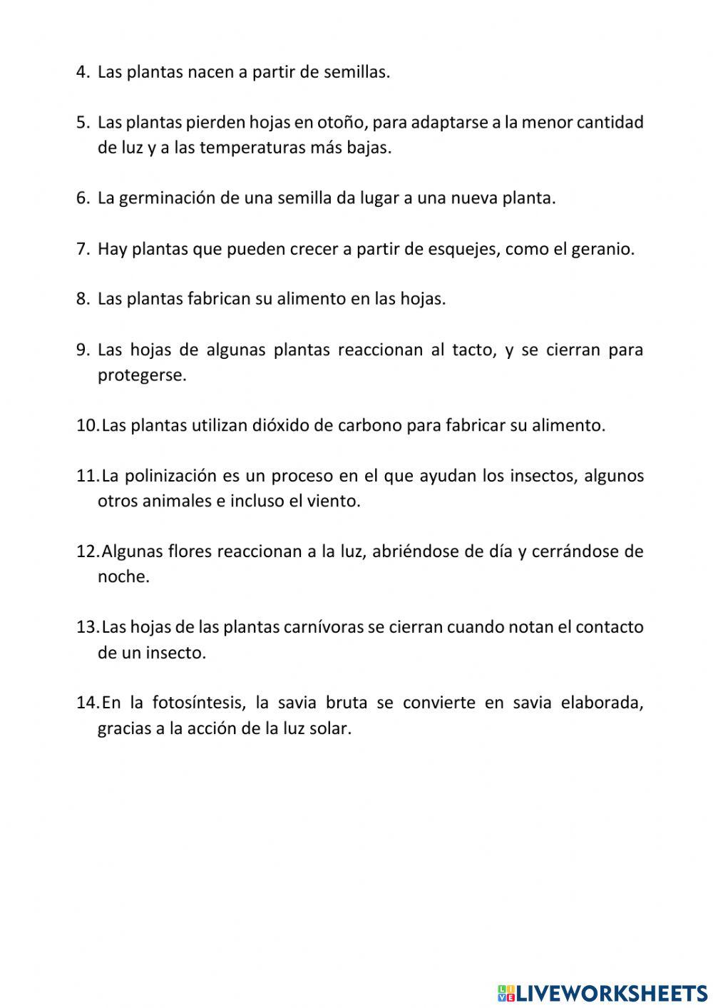 Funciones de las plantas