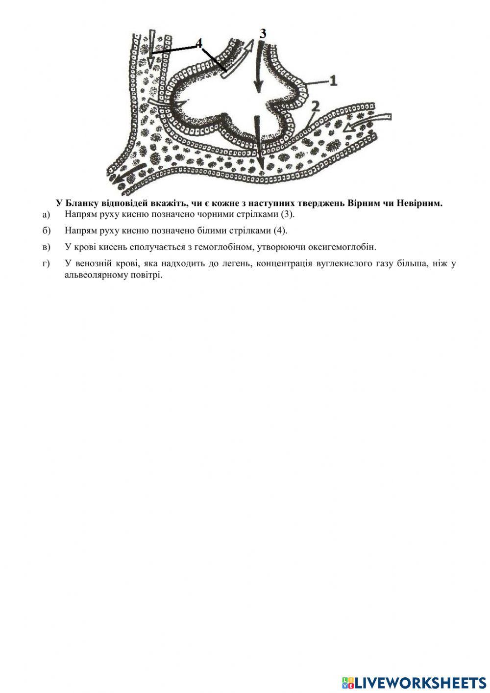 Олімпіада 8 клас