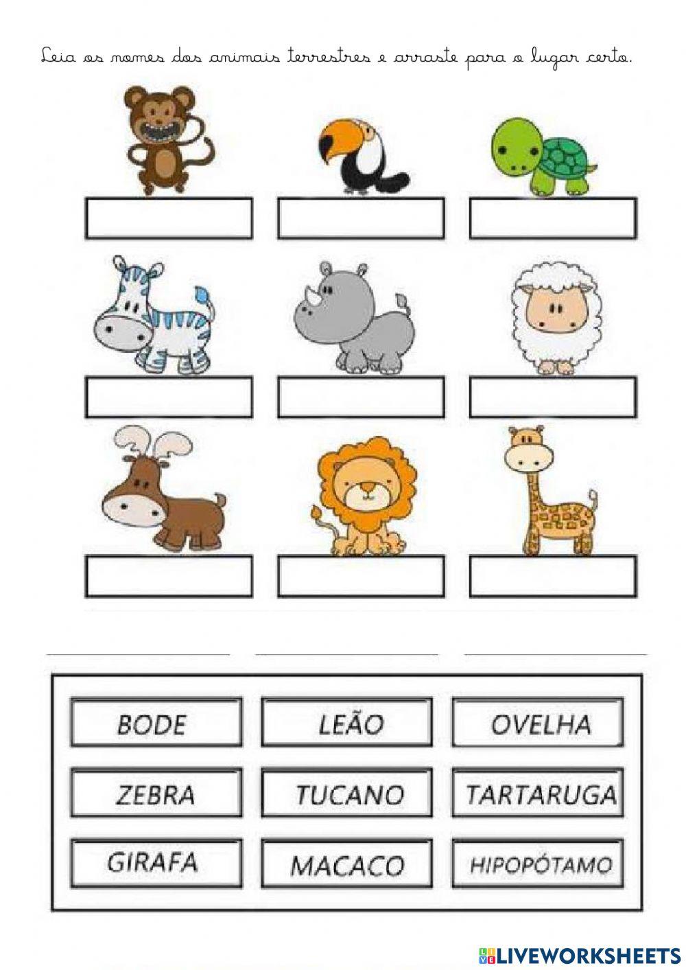 Ciências e português