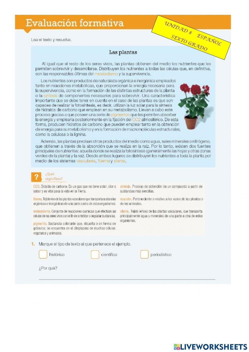 Comprensión lectora