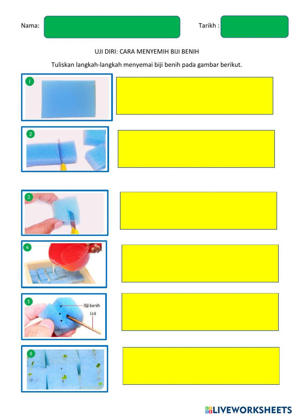 Cara menyemai biji benih