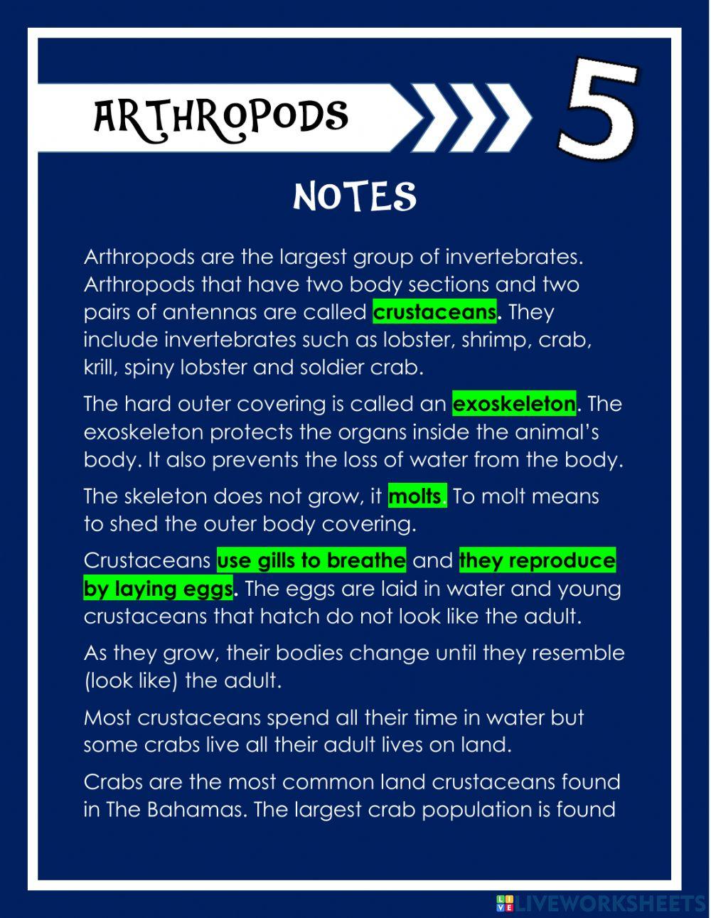 Arthropods Notes