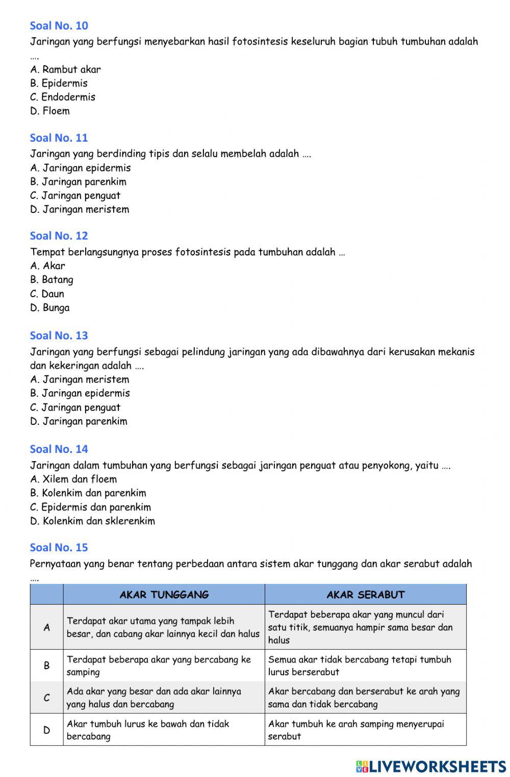 Soal latihan PH Struktur Jaringan Tumbuhan