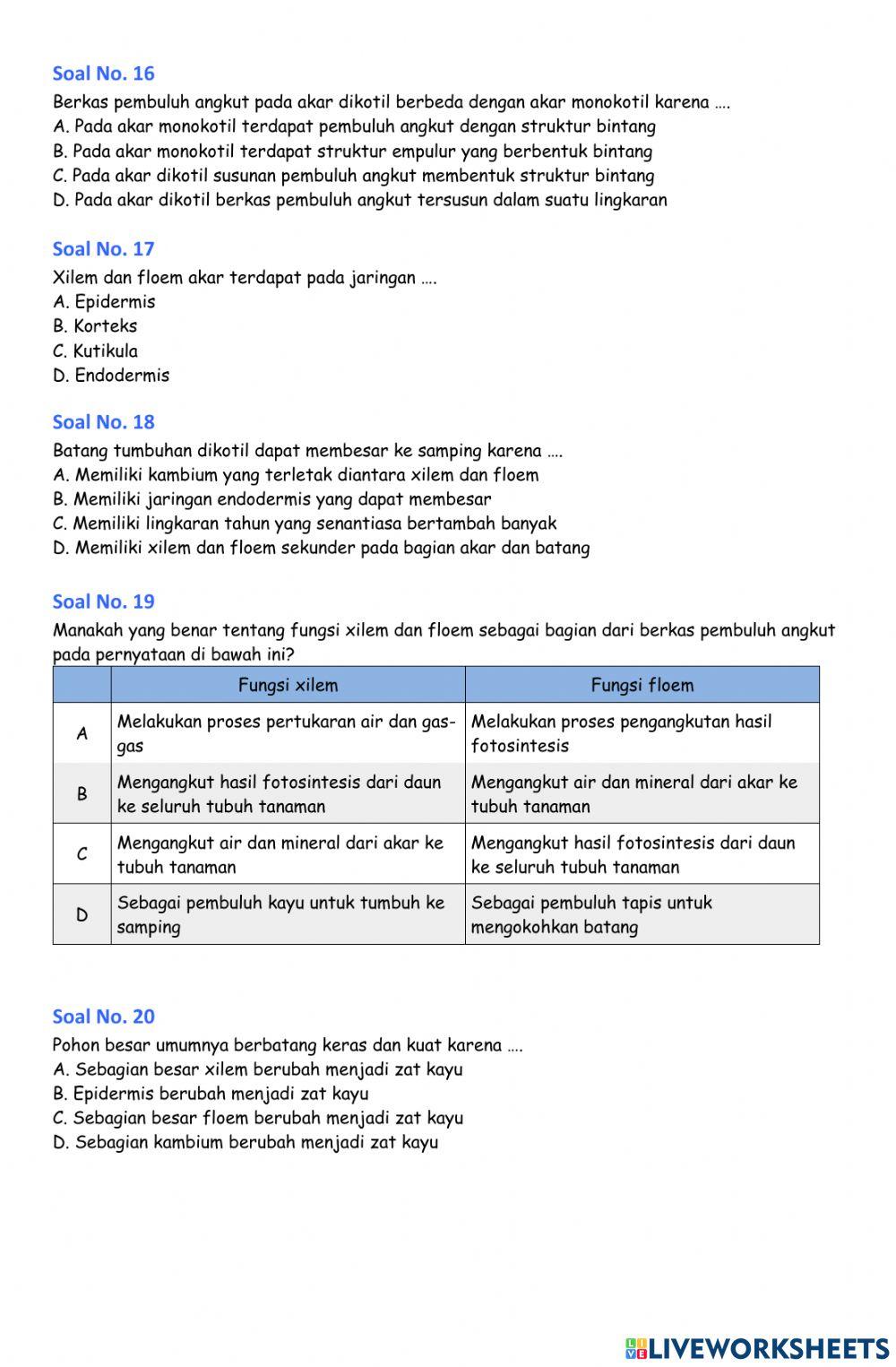 Soal latihan PH Struktur Jaringan Tumbuhan