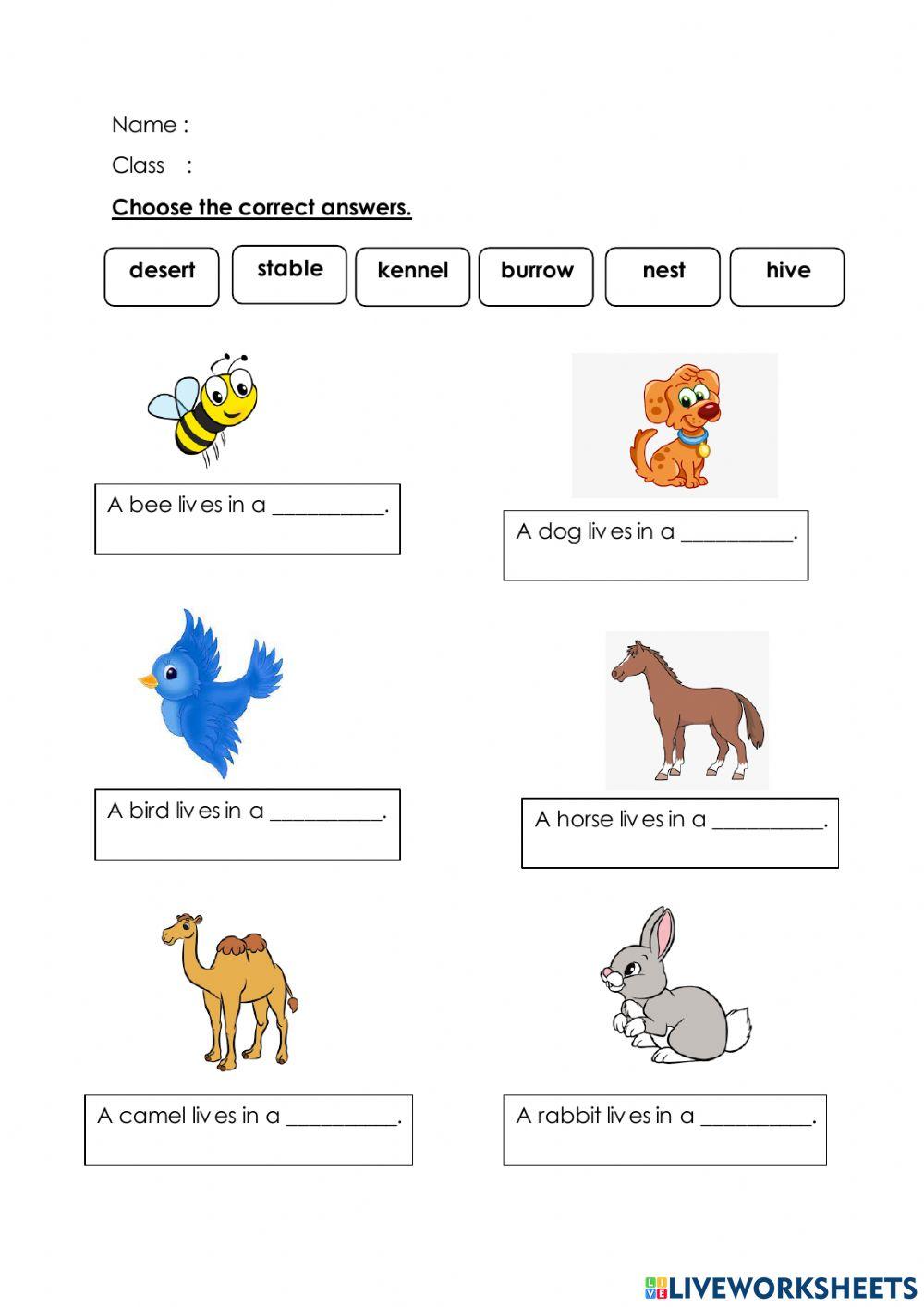 Animal and Their Homes