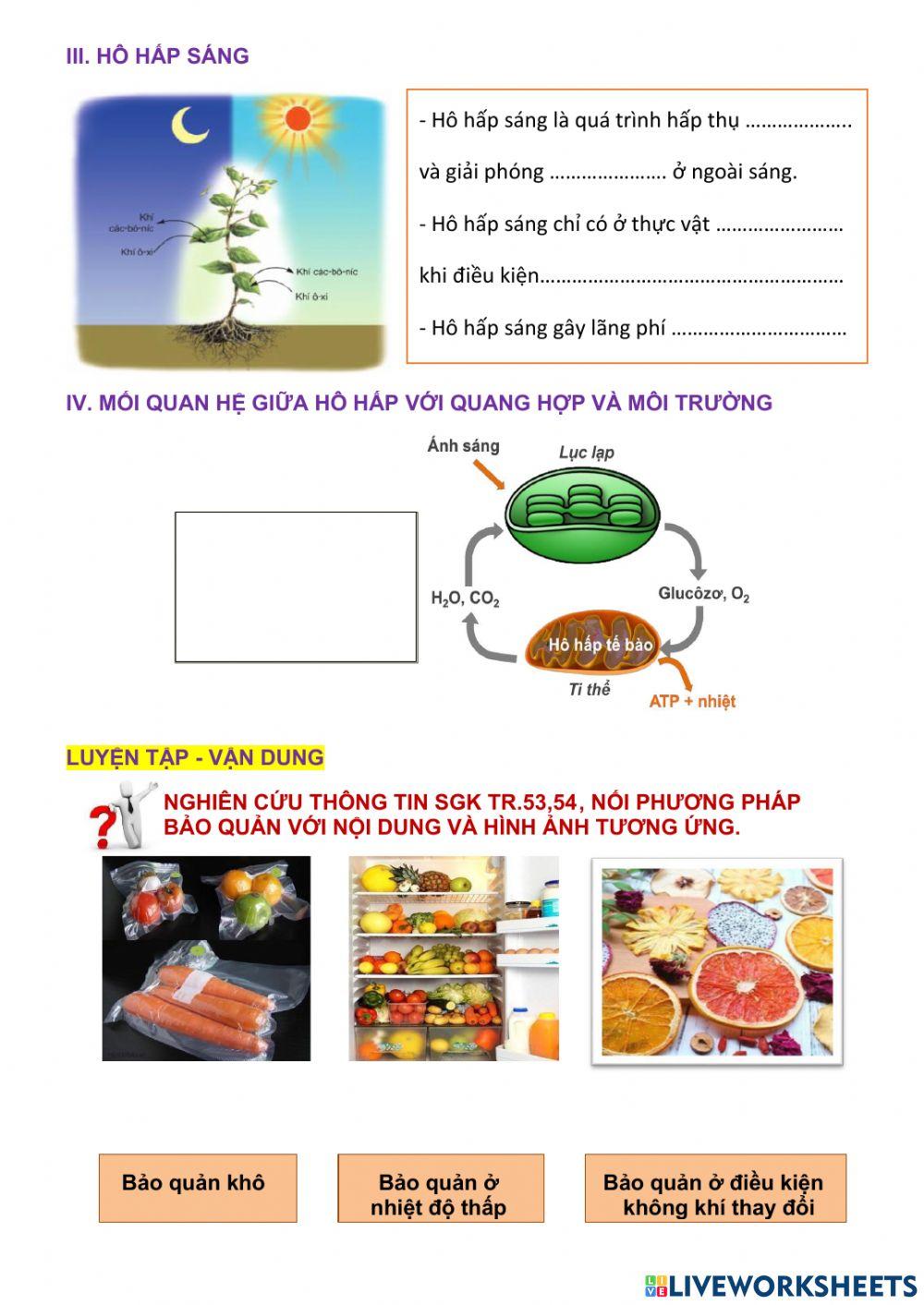 Hô hấp thực vật