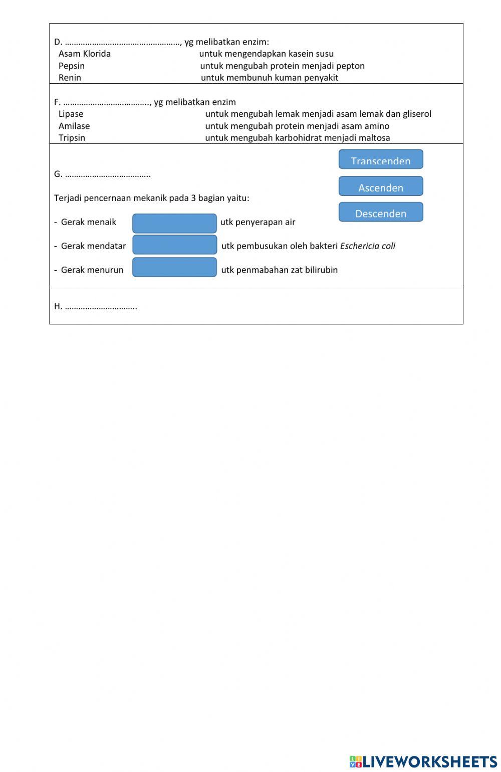 LKPD Mekanisme dan Organ Pencernaan