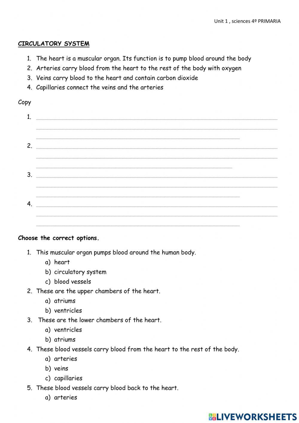 Sciences 4º Primaria