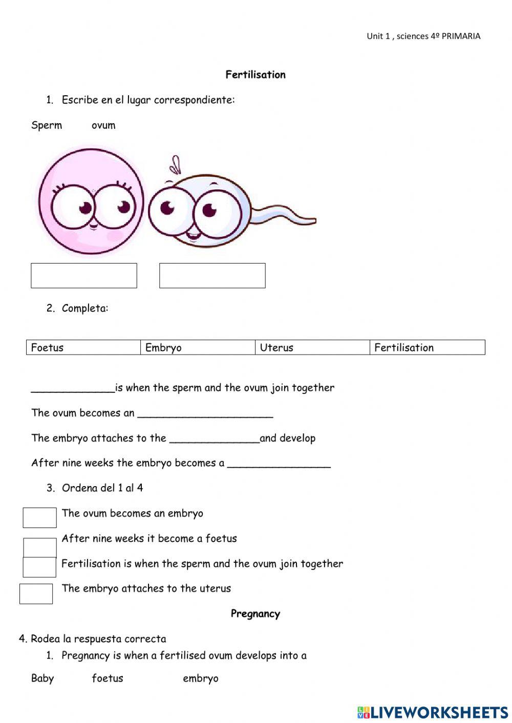 Sciences 4º Primaria