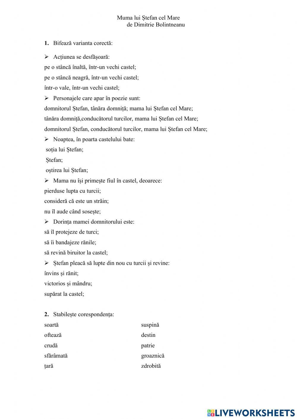 Muma lui Ștefan cel Mare