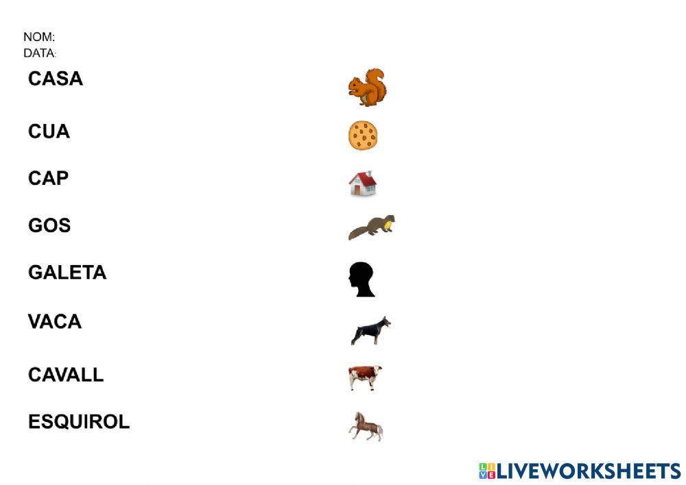 Relaciona paraula imatge