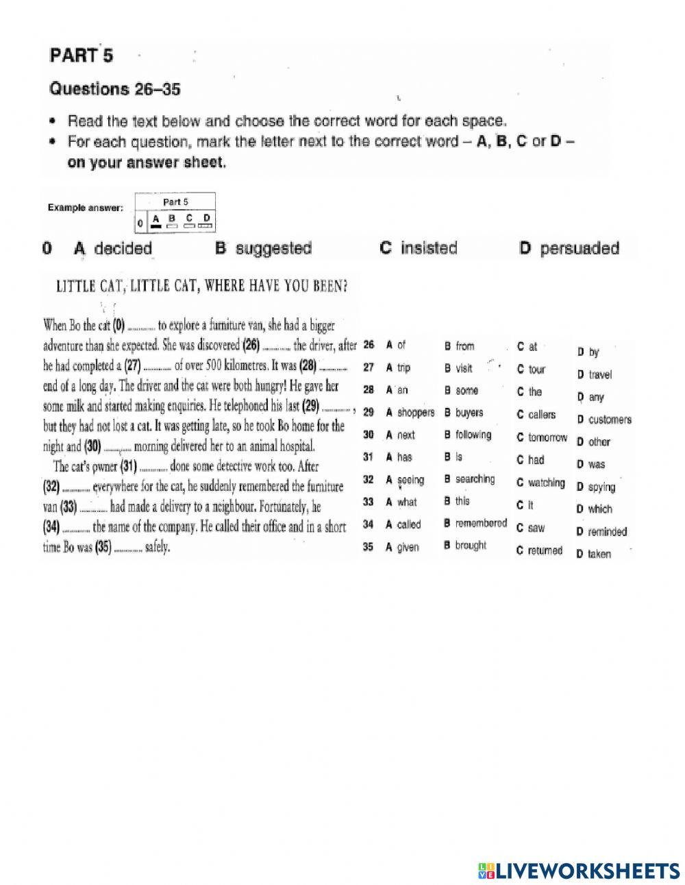 Pet 3 - test 2 - reading