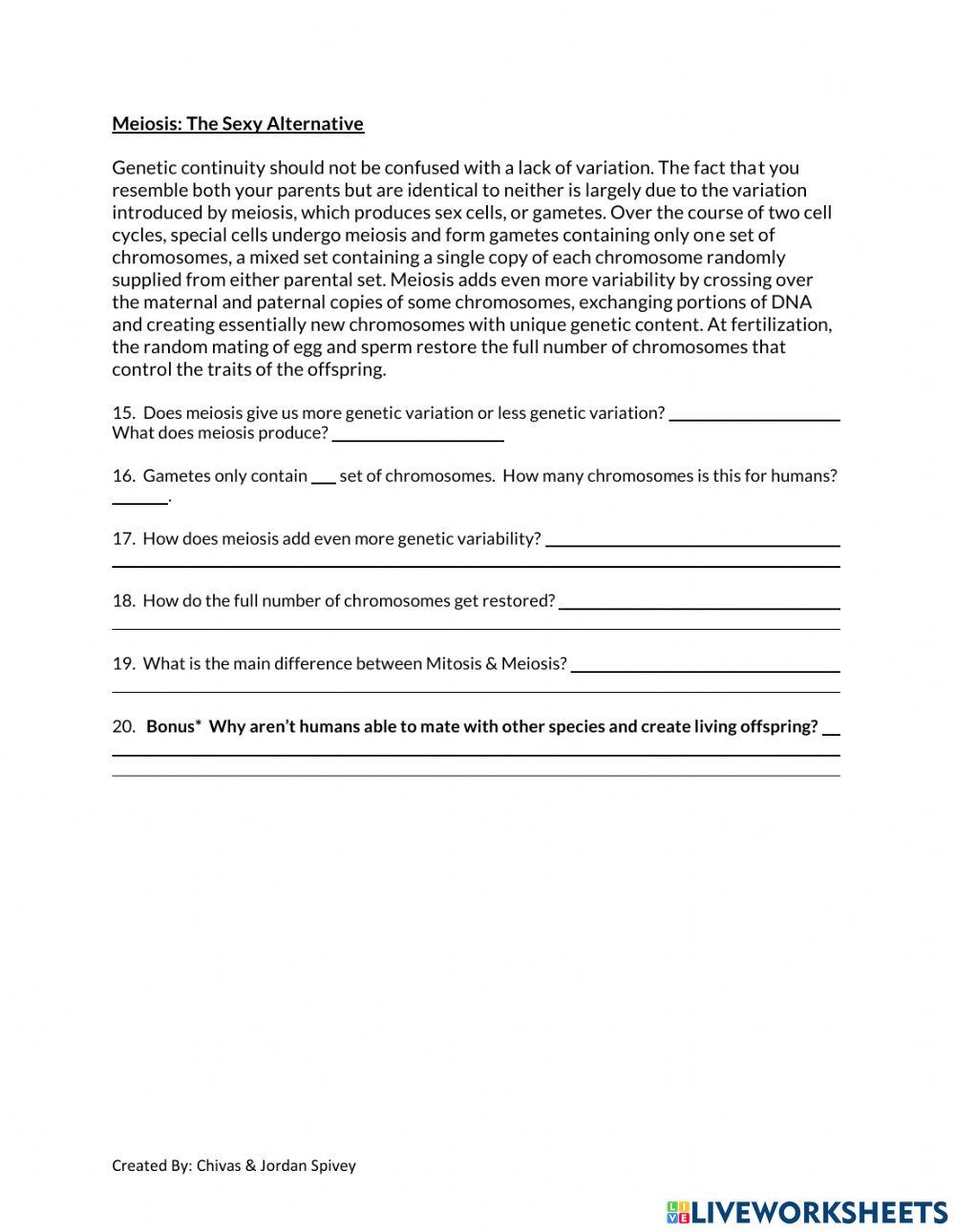 What Maintains Genetic Continuity Reading Interactive