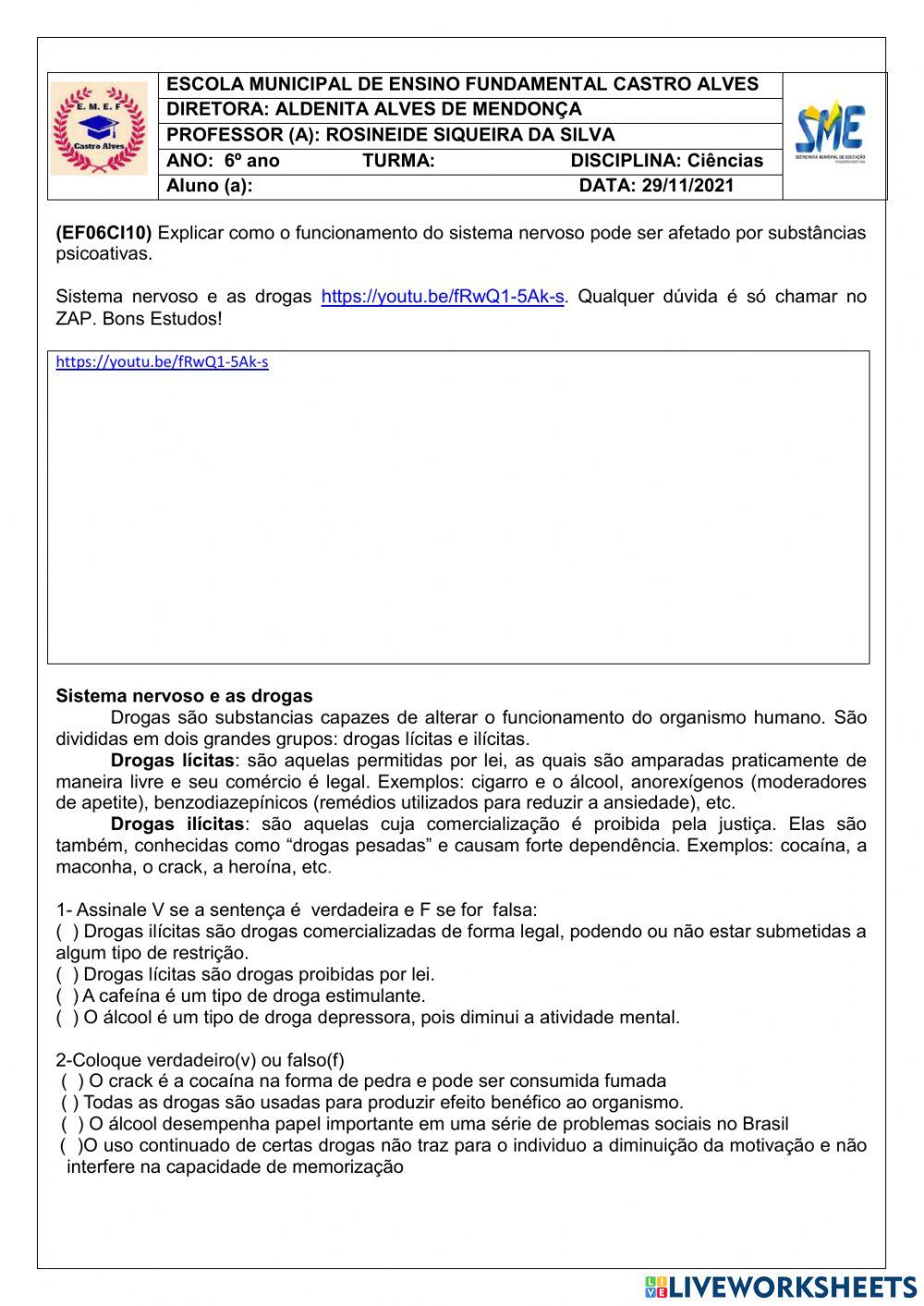 6º ano Sistema nervoso e as drogas