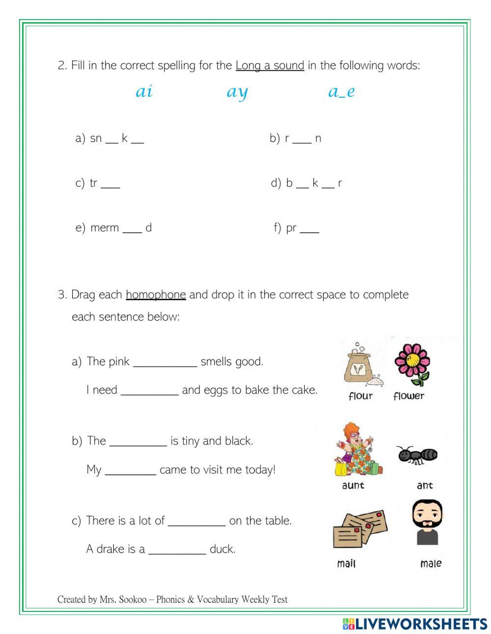 Phonics and Vocabulary Weekly Test 29th Oct