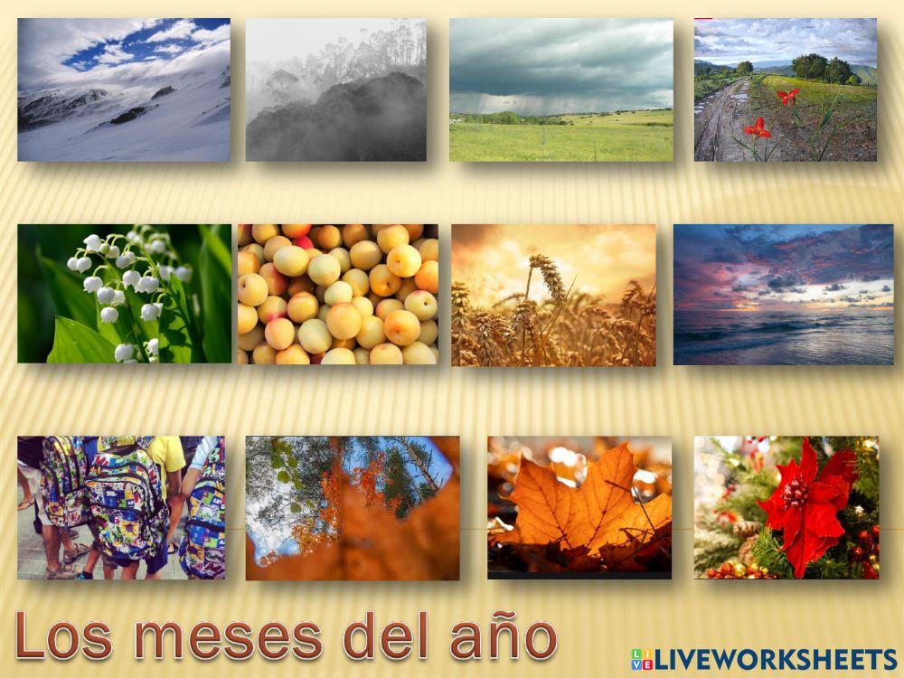 Los meses del año (Escucha y...)