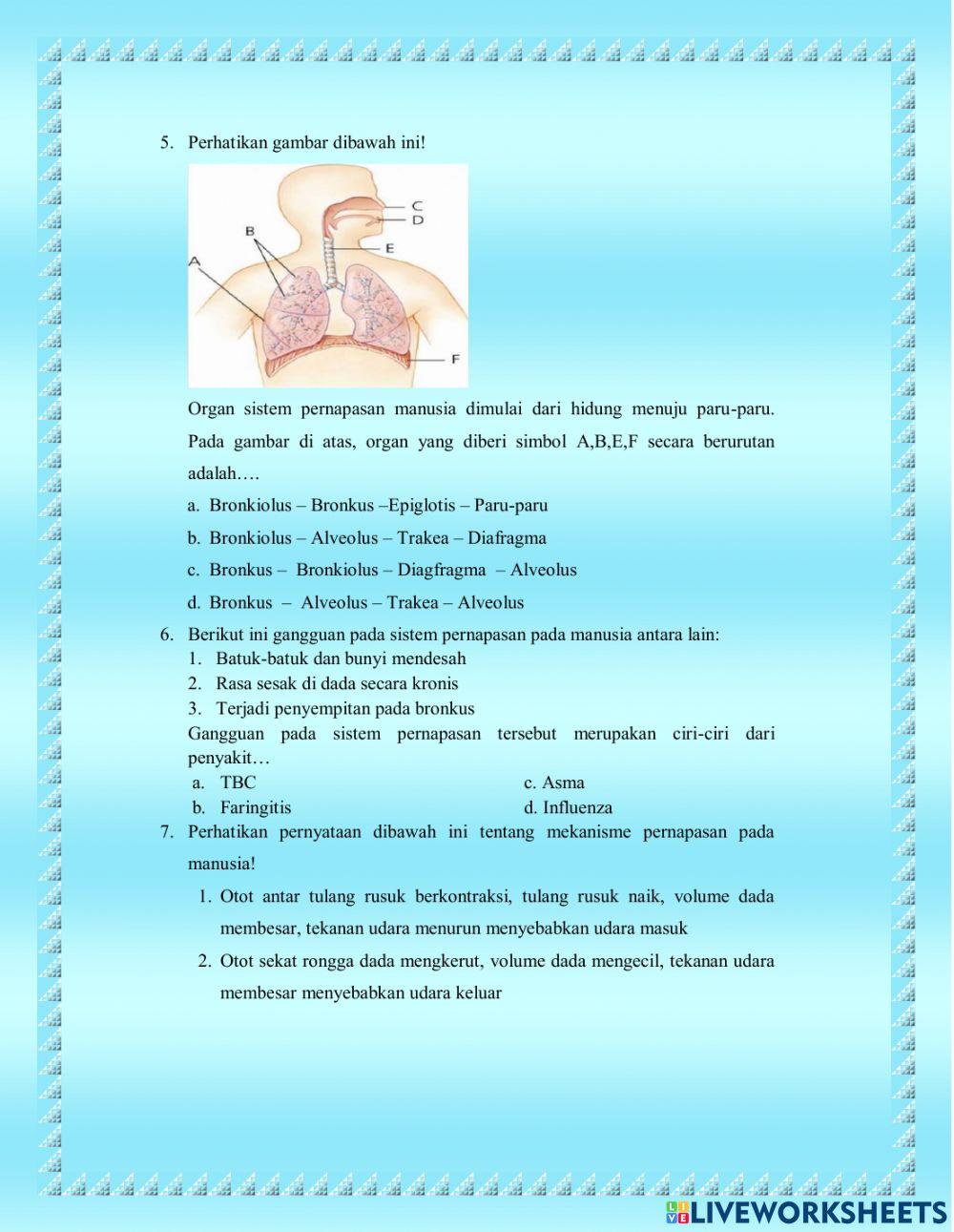 Soal Tes Kognitif Sistem Pernapasan Pada Manusia