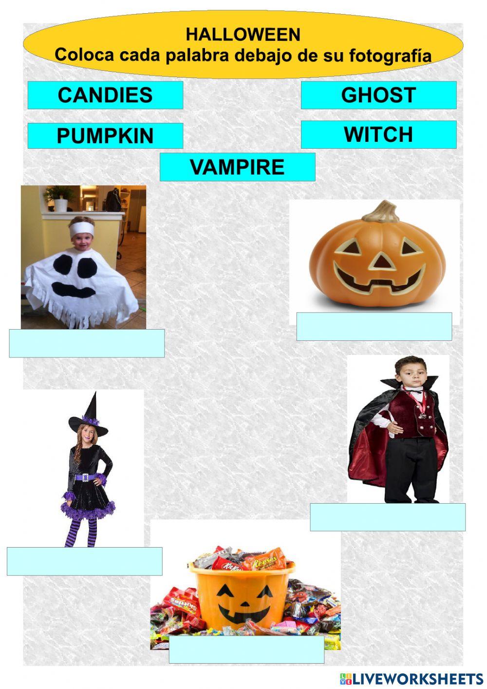 Halloween: Basic vocabulary Reading Worksheet