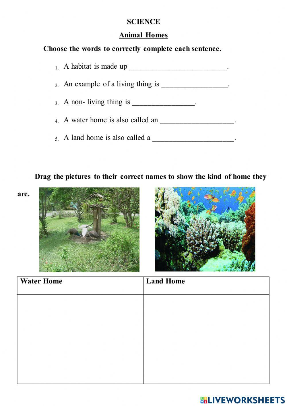 Week 8 term1 weekly test