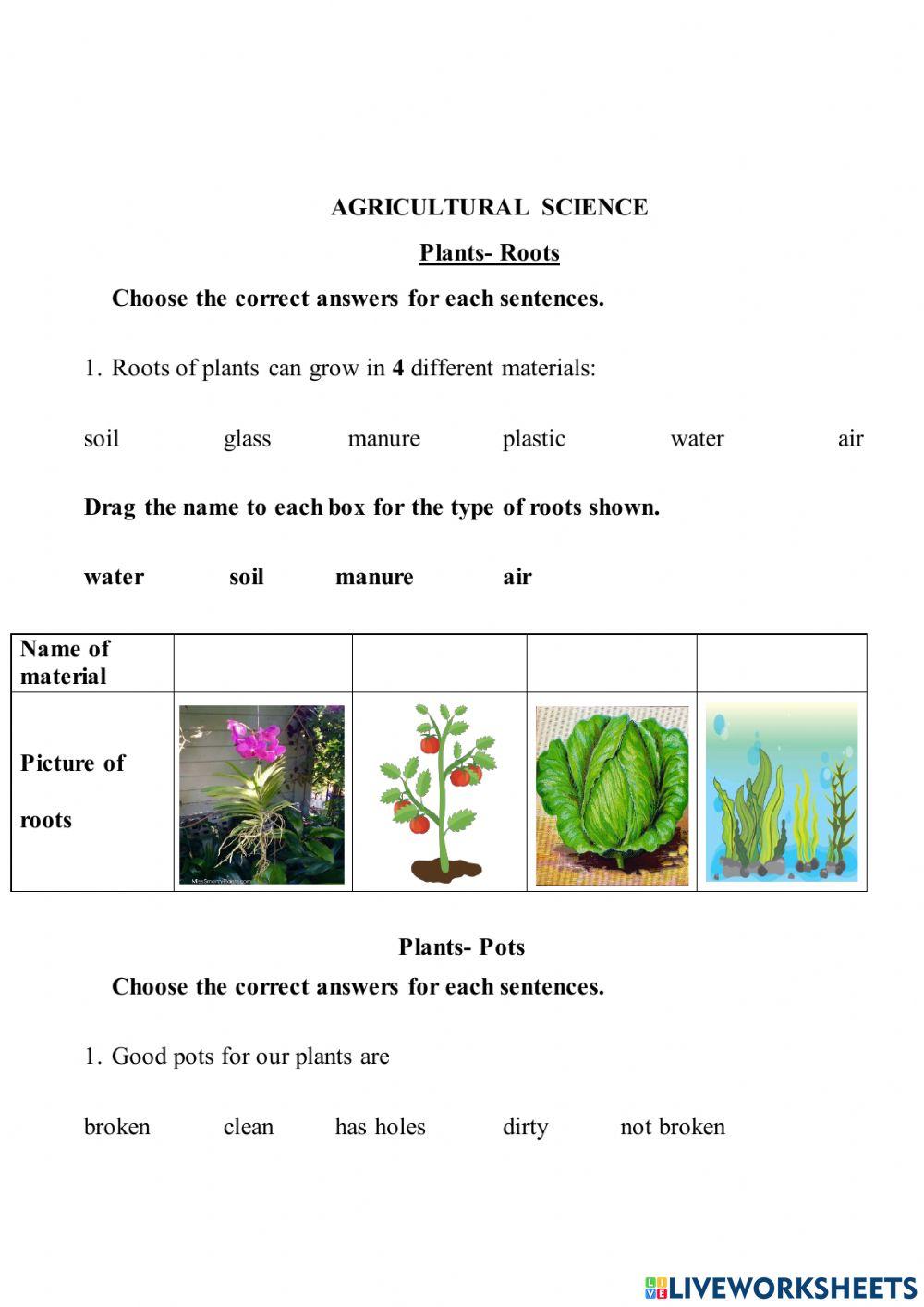 Week 8 term1 weekly test