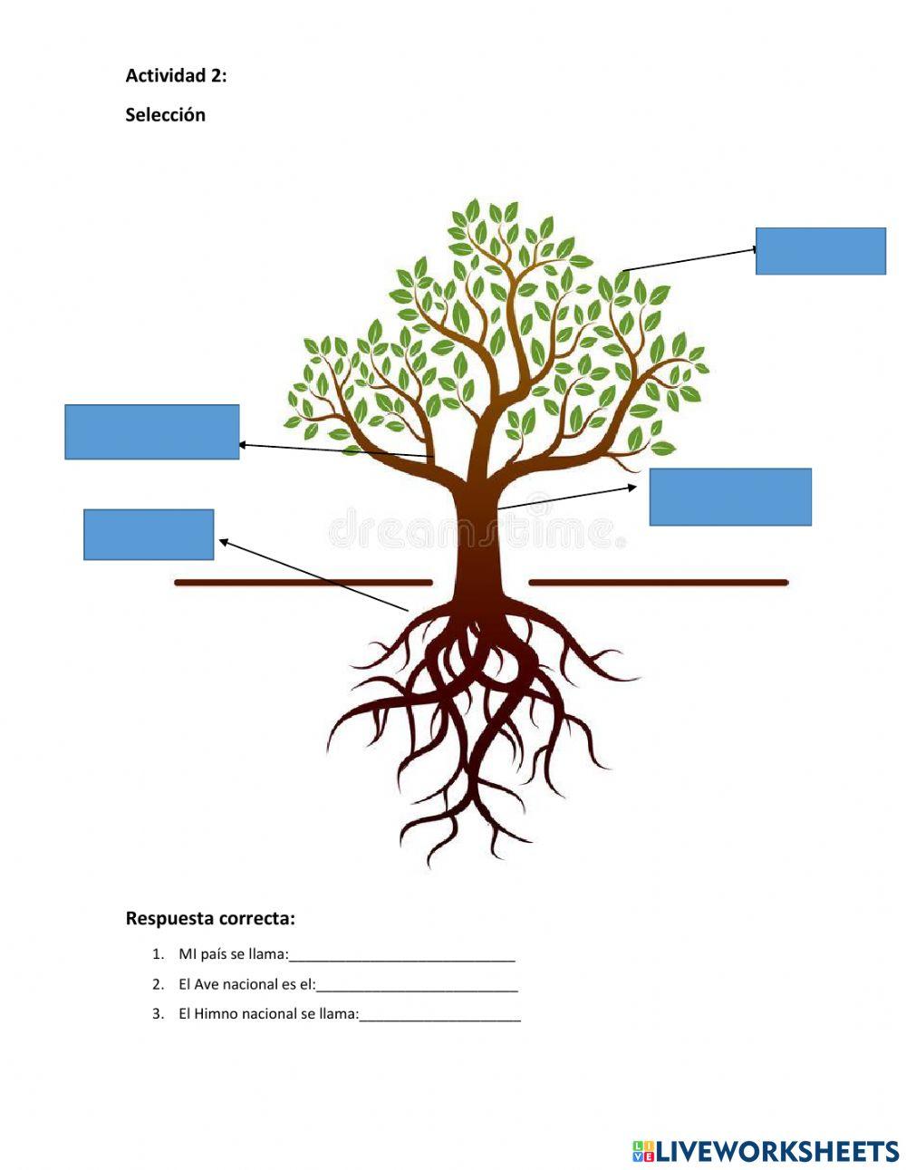 Actividades primarias