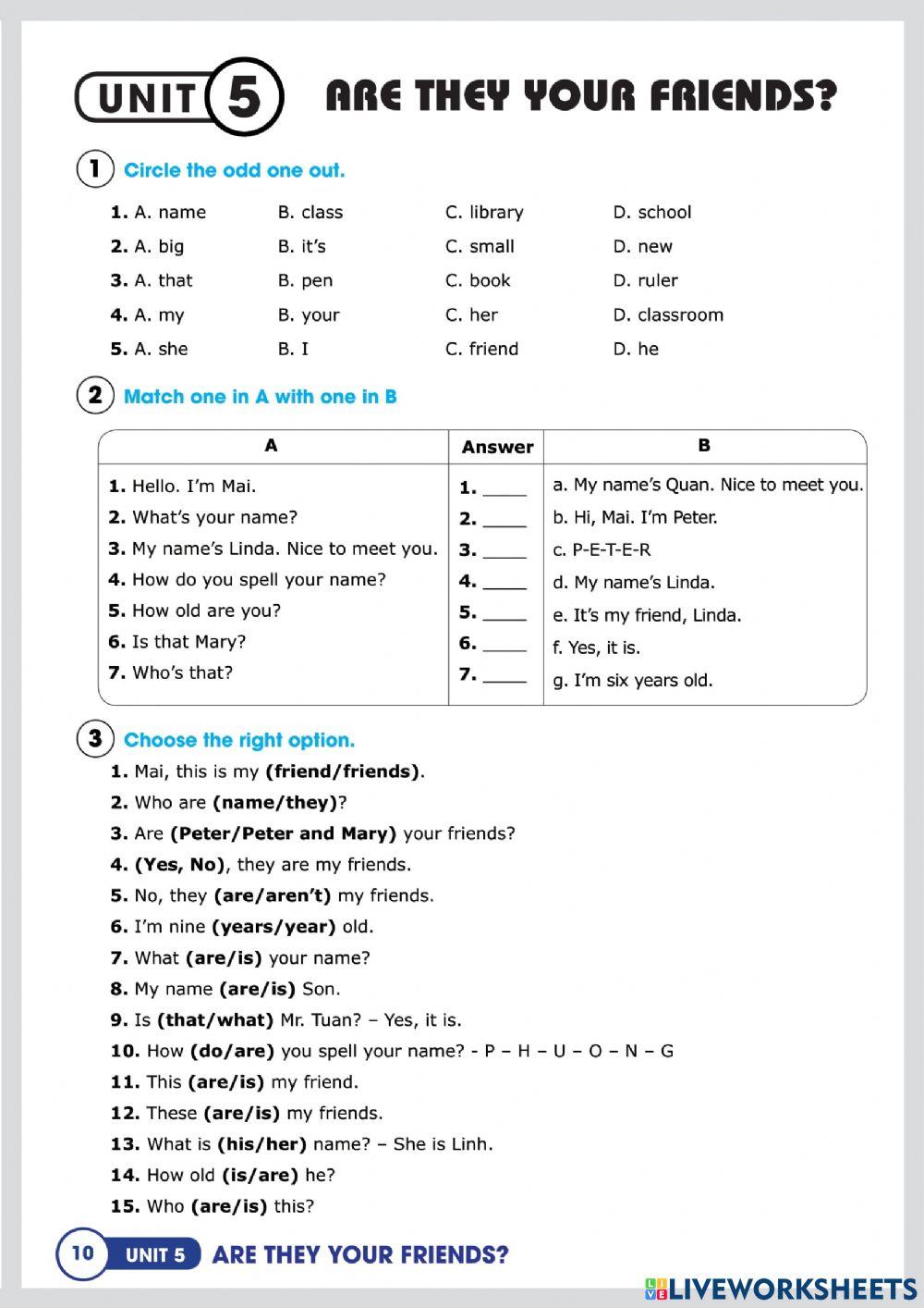 Unit 5: Are they your friends?
