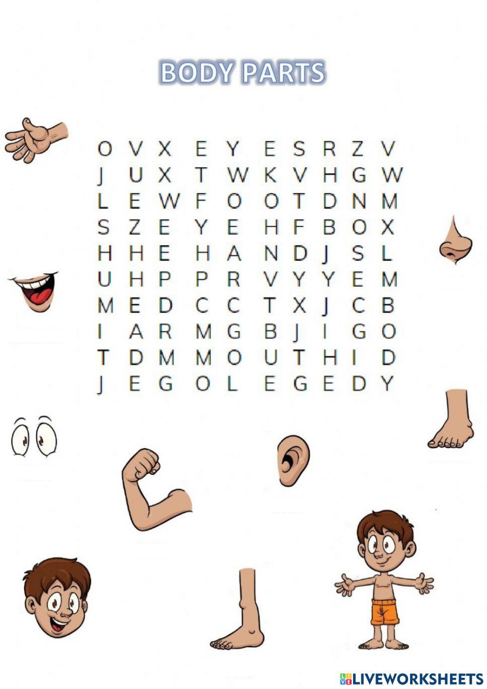 Wordsearch body parts