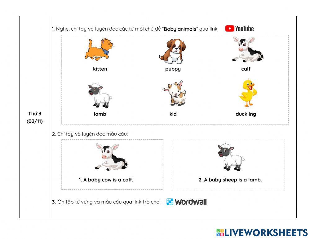 Nội dung học ONLINE tuần 14