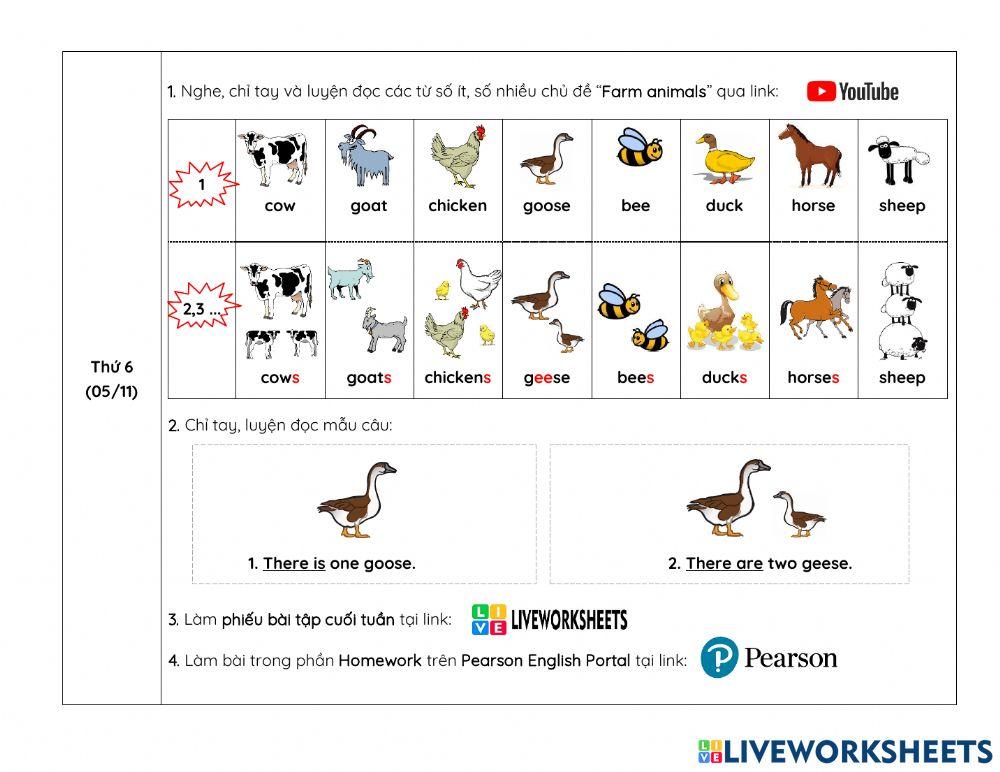 Nội dung học ONLINE tuần 14