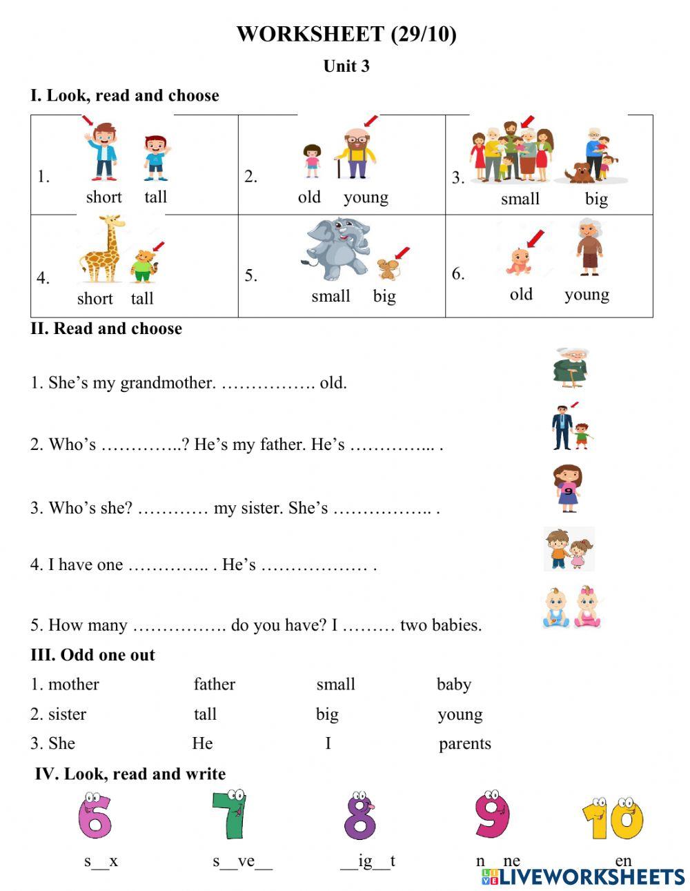 Worksheet 29-10