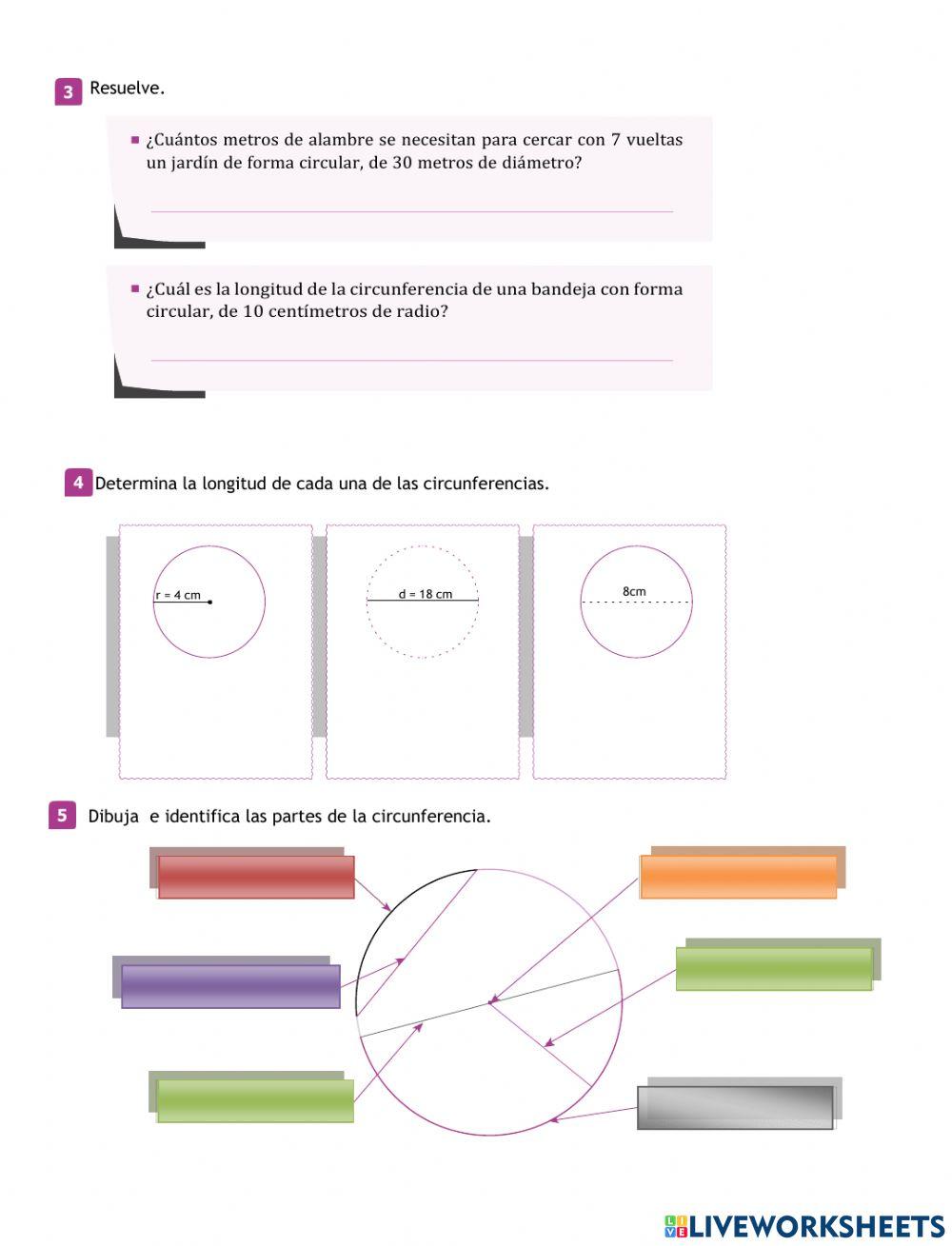 Circunferencia y circulo: Área y longitud