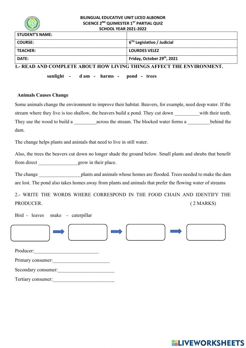 Food Chains and Nutrients in my food