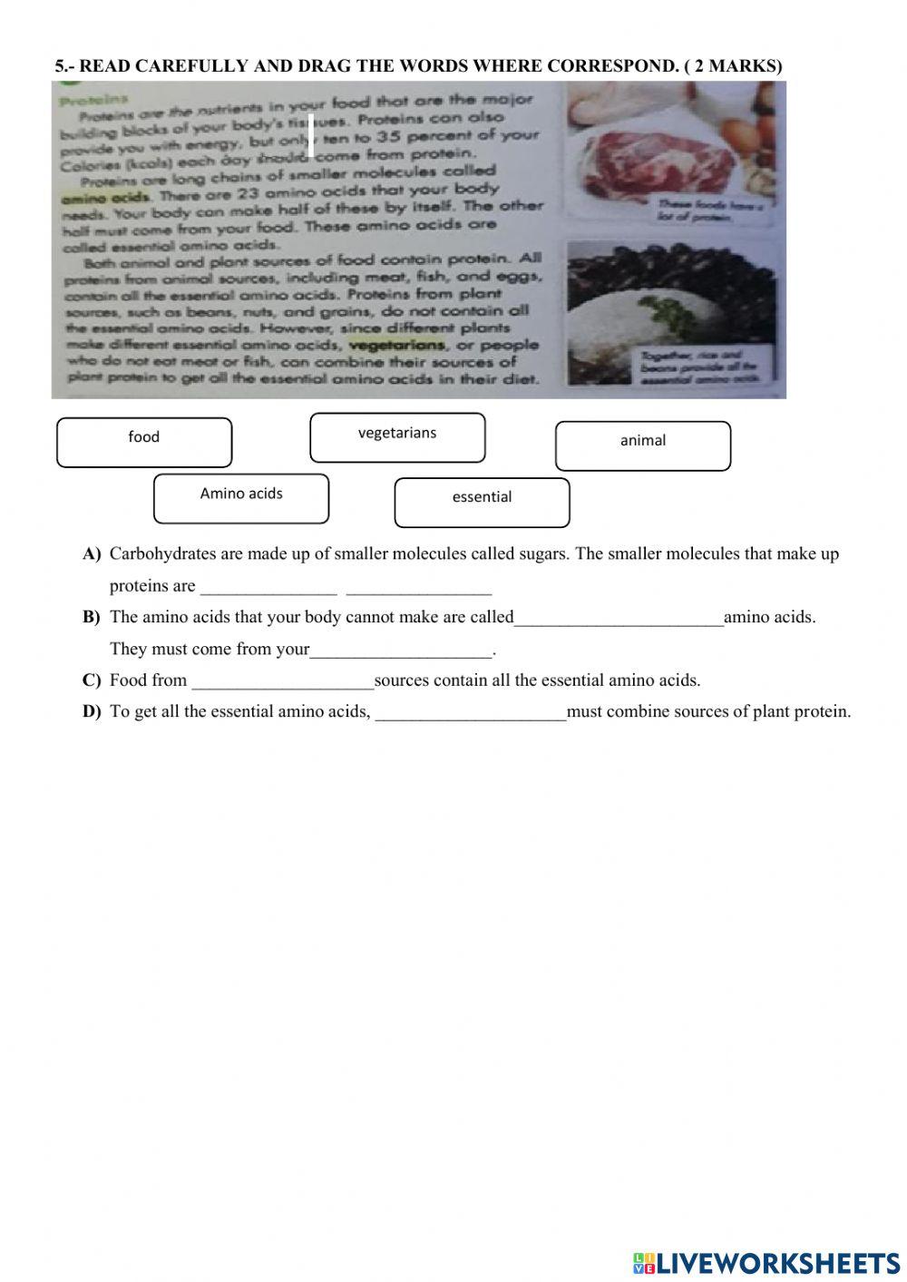 Food Chains and Nutrients in my food